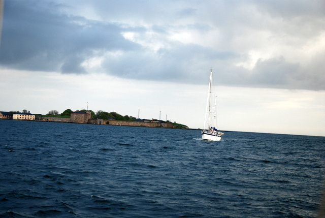 DSC 0096