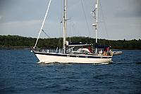 DSC 0098