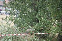 DSC 0111