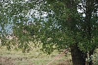 DSC 0124