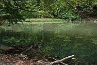 DSC 0056