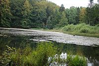 DSC 0058
